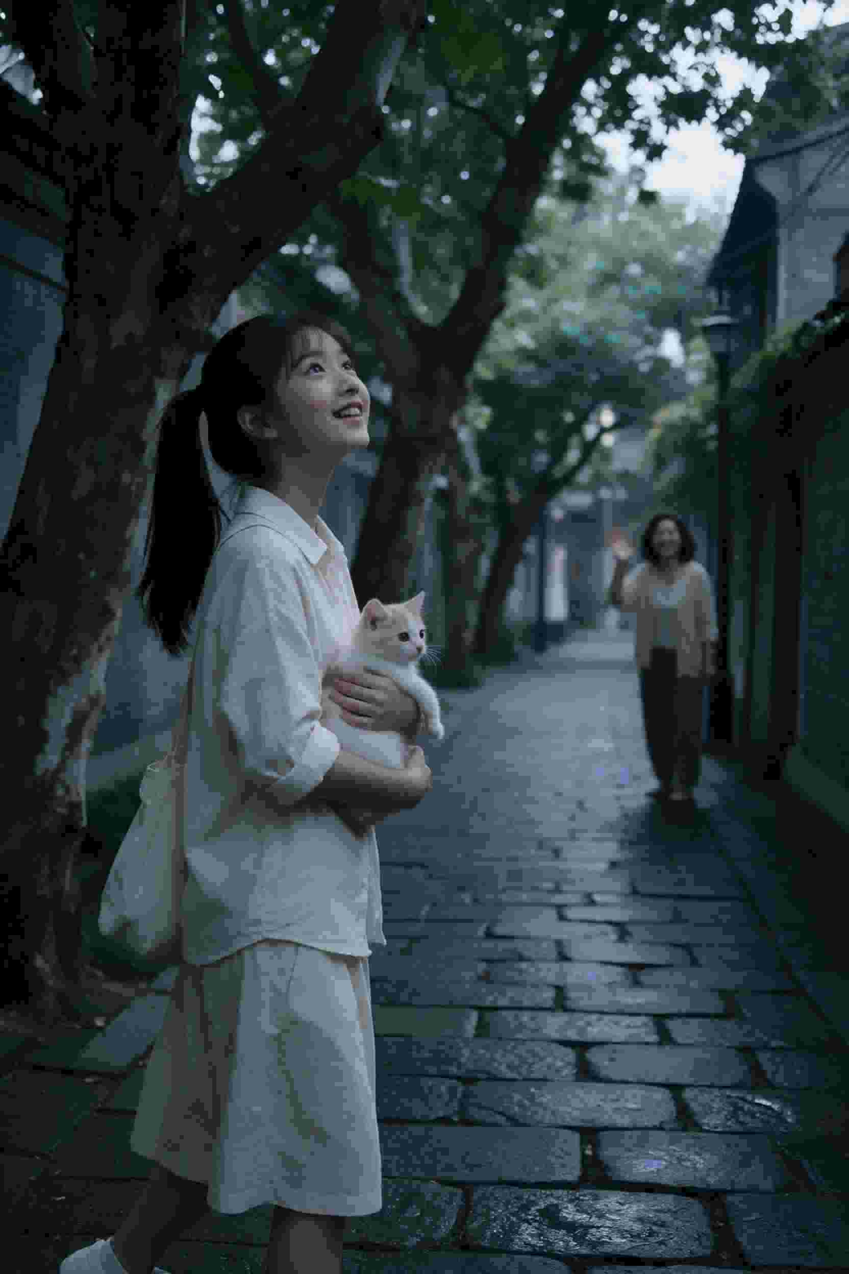 谜雾重重